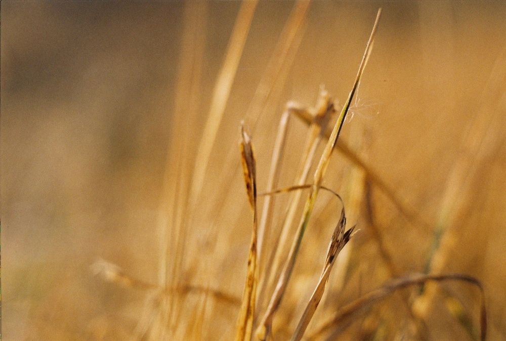 Photograph by Денис Игоревич Нестеров