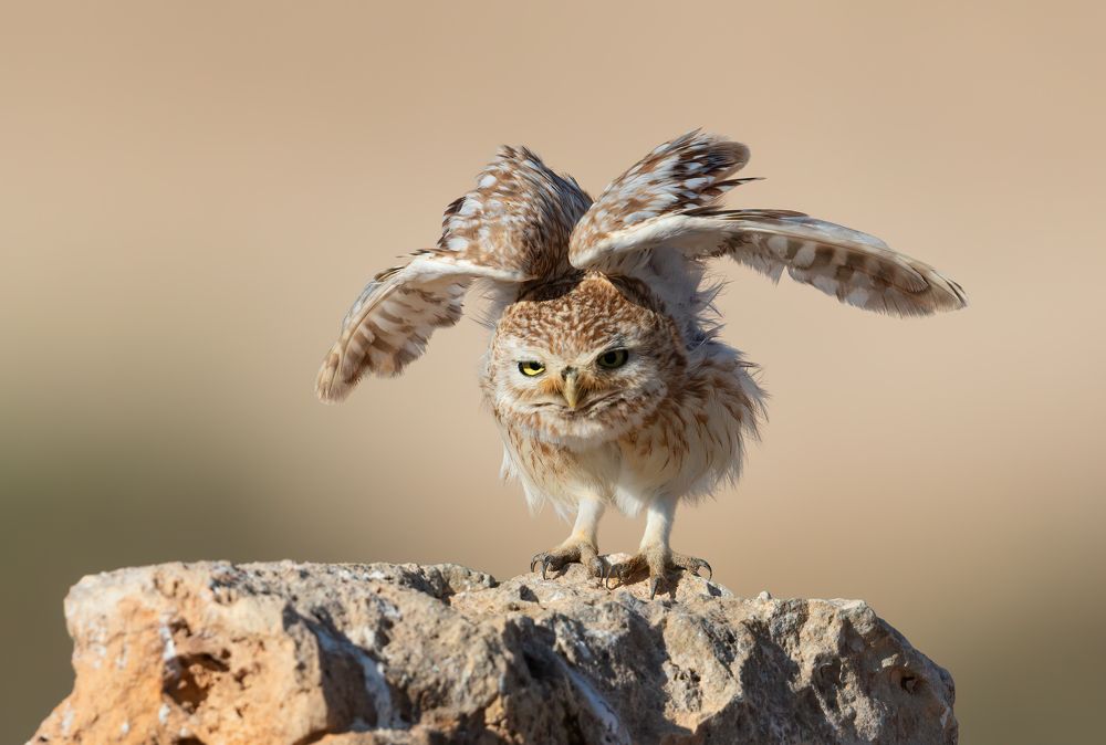 Photograph by Евгений Фруман