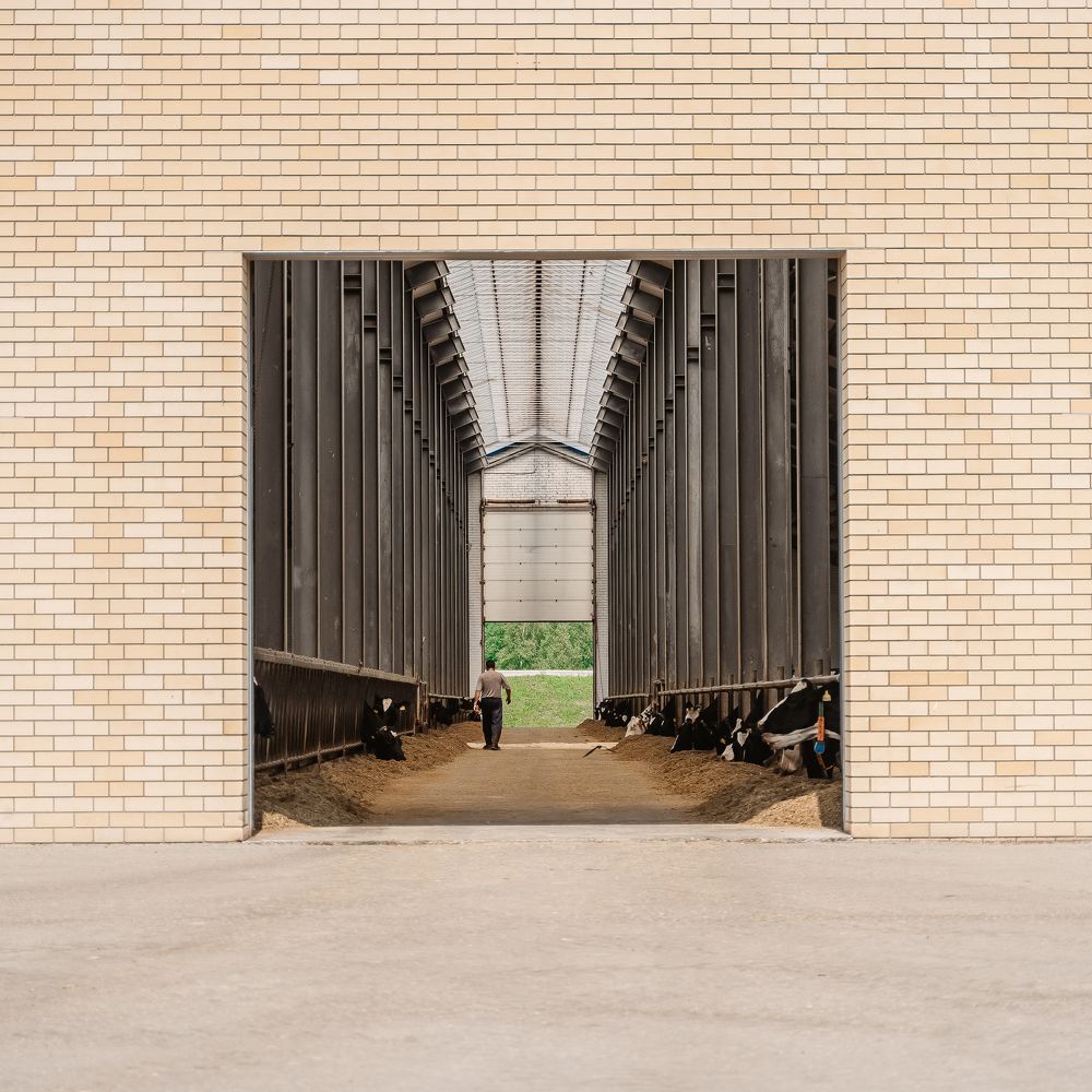 Photograph by Максим