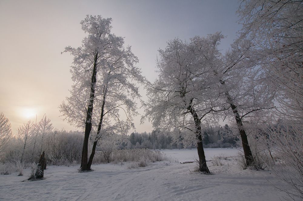 Photograph by Алексей Дивнич