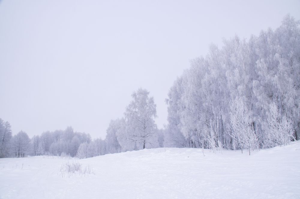 Photograph by 