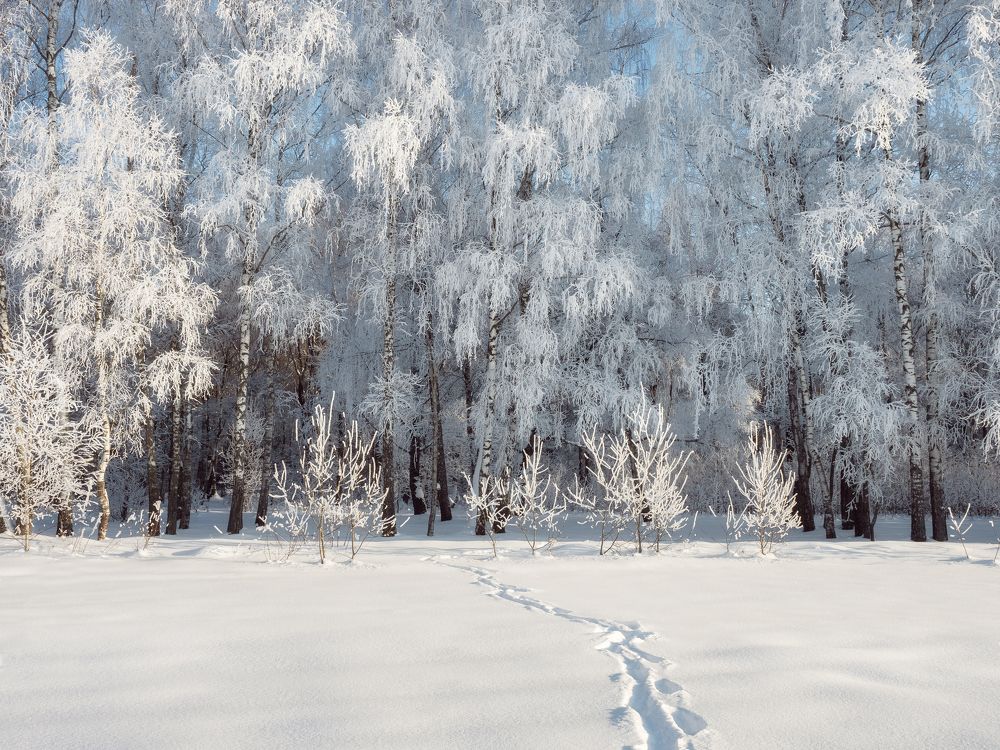 Photograph by Мозжухин Максим