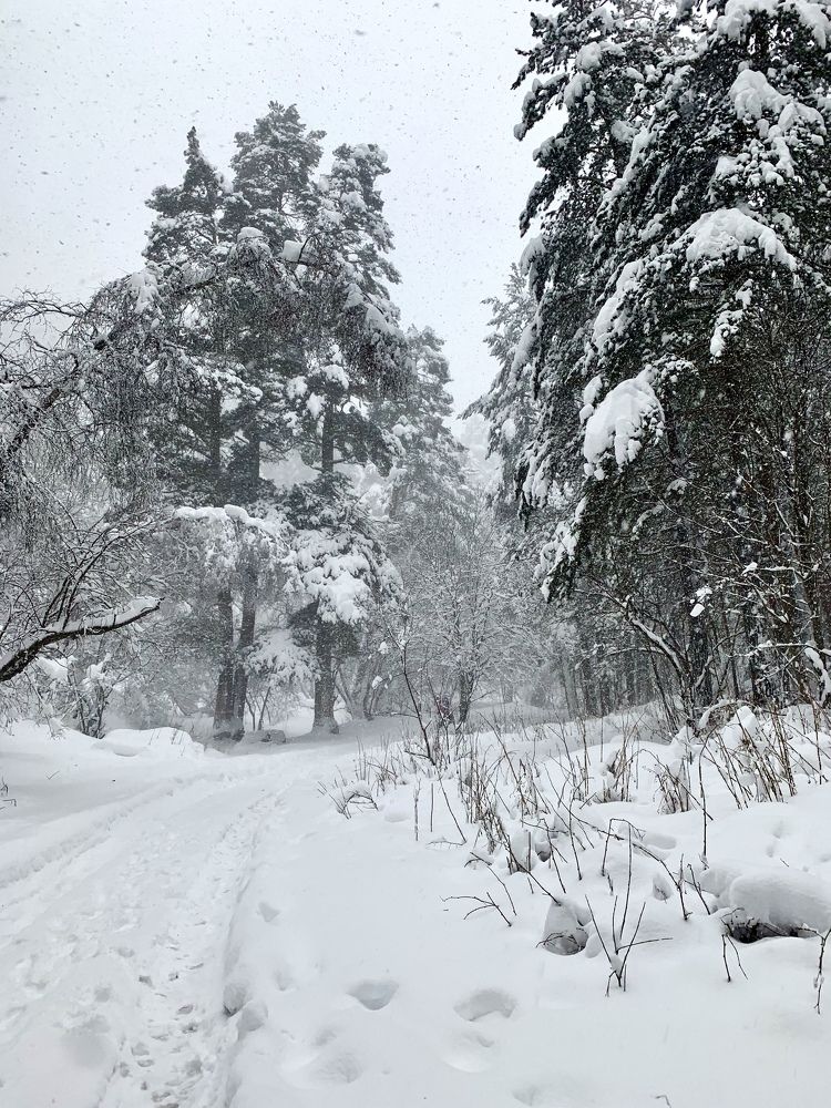 Photograph by Ольга Ходурская