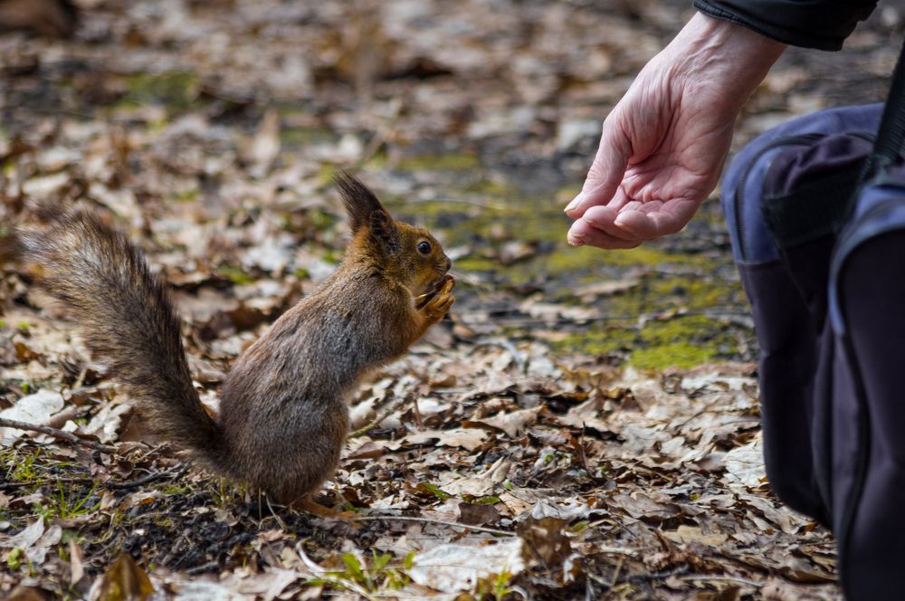 Фотография автора Olga Sarieva
