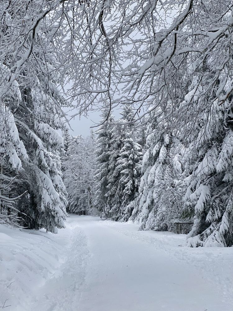 Photograph by Наталья Посашко