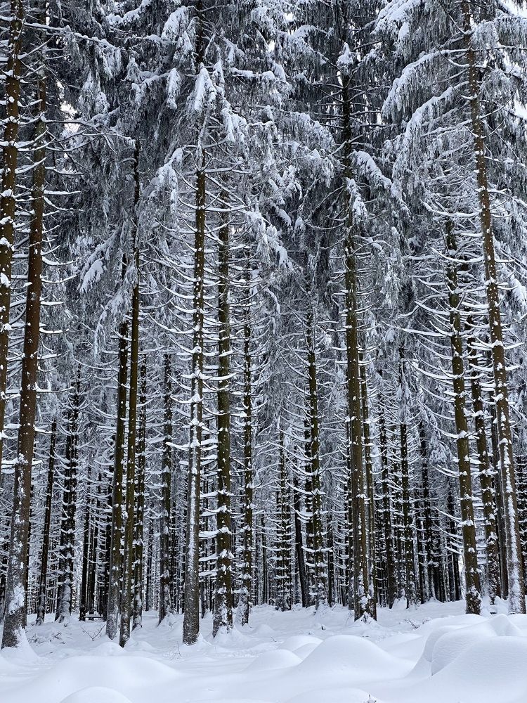 Photograph by Наталья Посашко