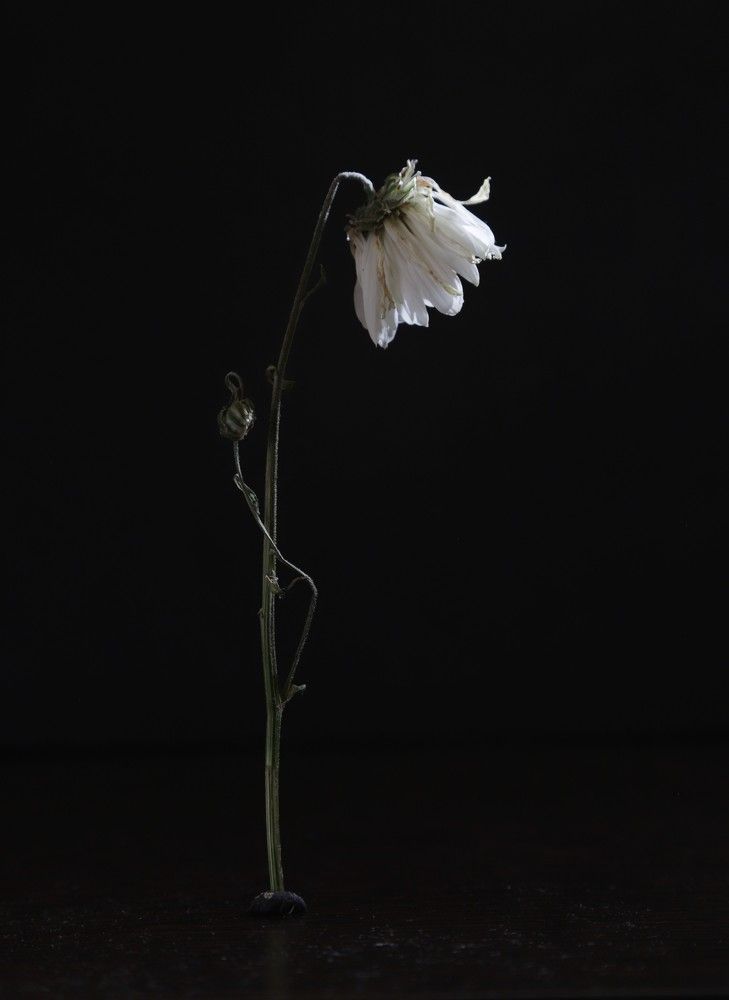 Photograph by Лада Денисова