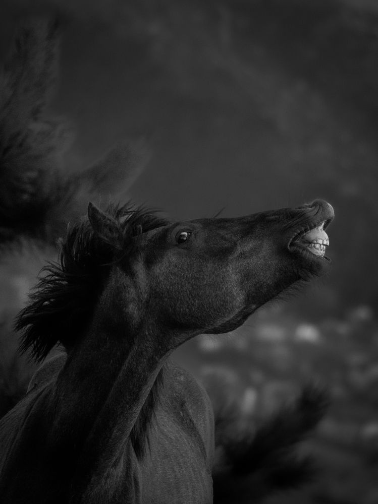 A smile that worth a thousand scent