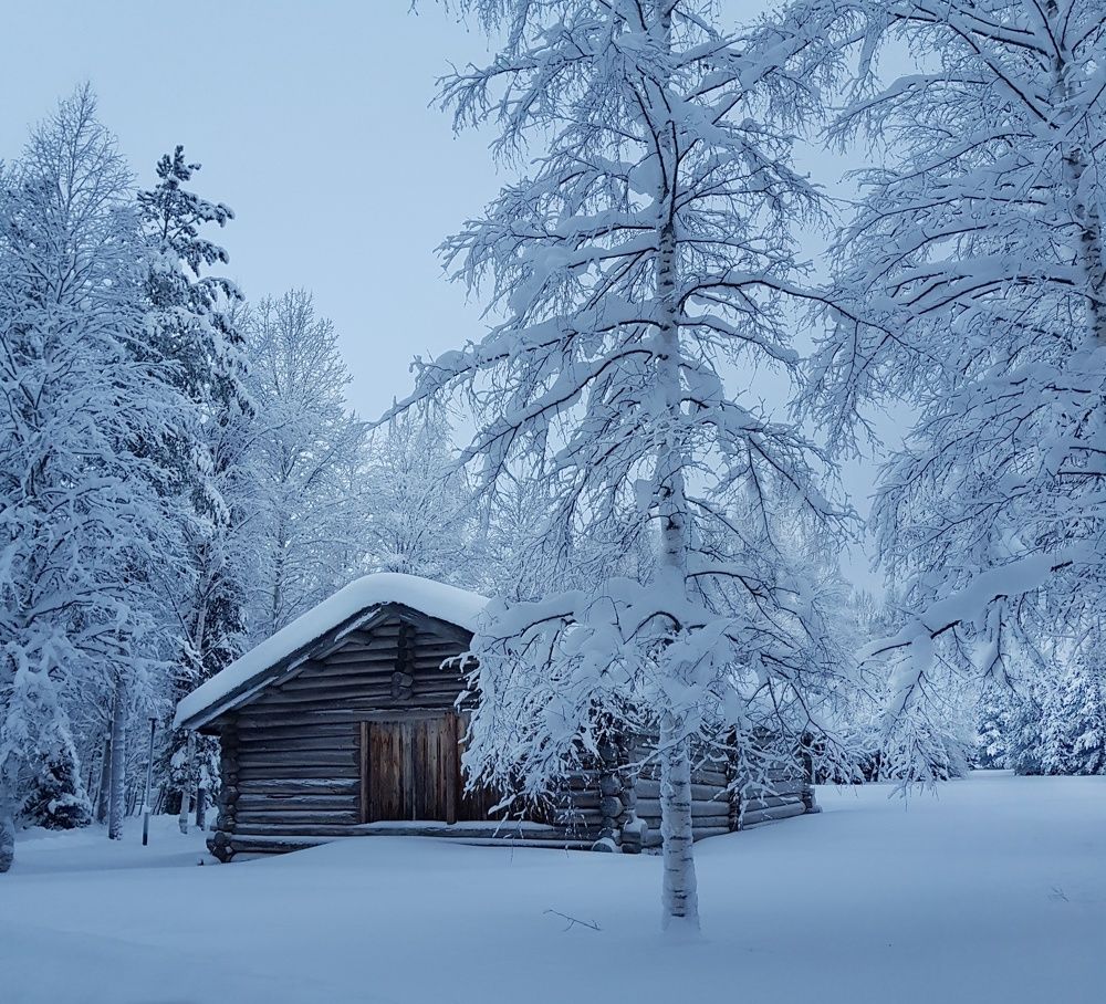 Русская зима. Среди снегов.