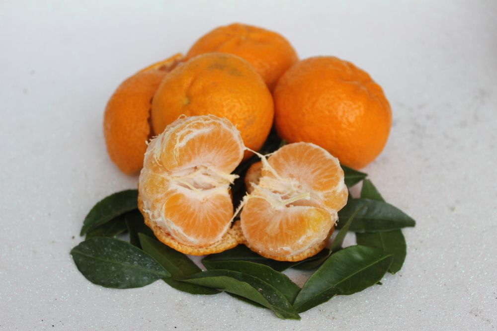 Photograph by Ferreira Francisco