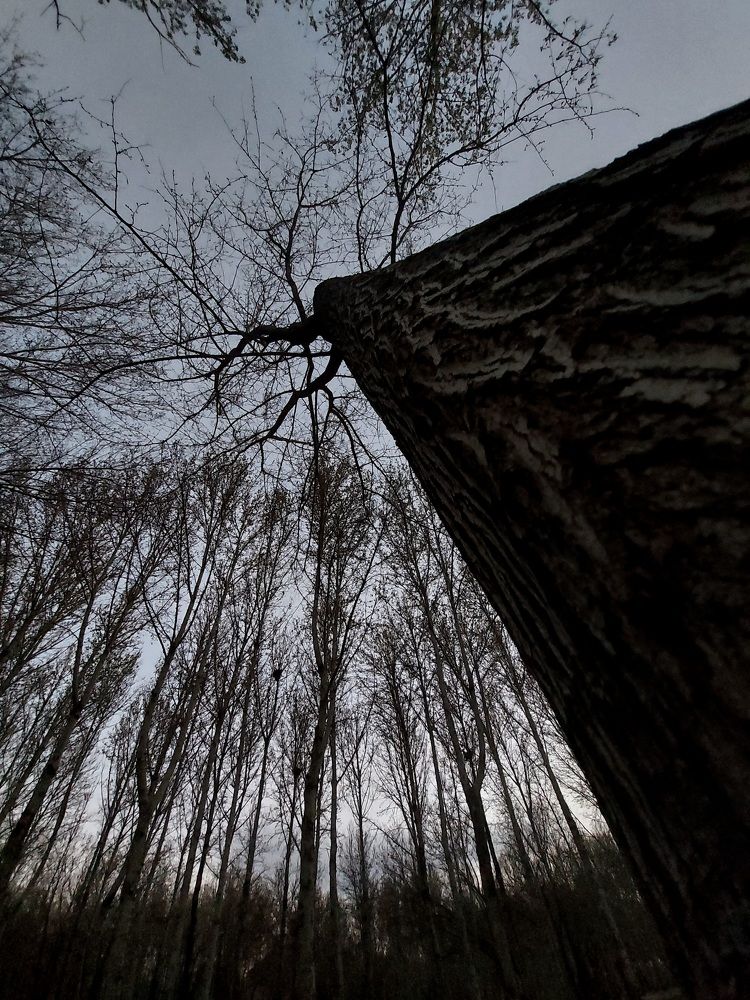 Photograph by Hossein Jafari