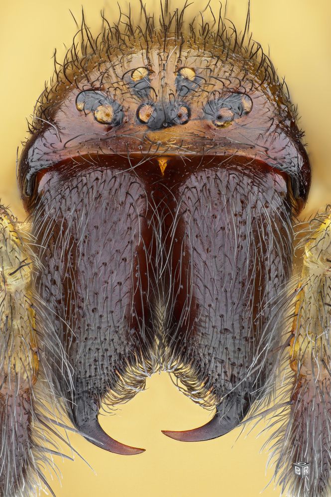 Photograph by Rastislav Borovsky