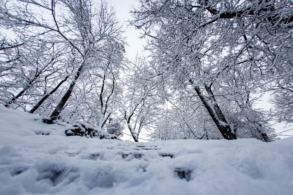 Photograph by Михаил