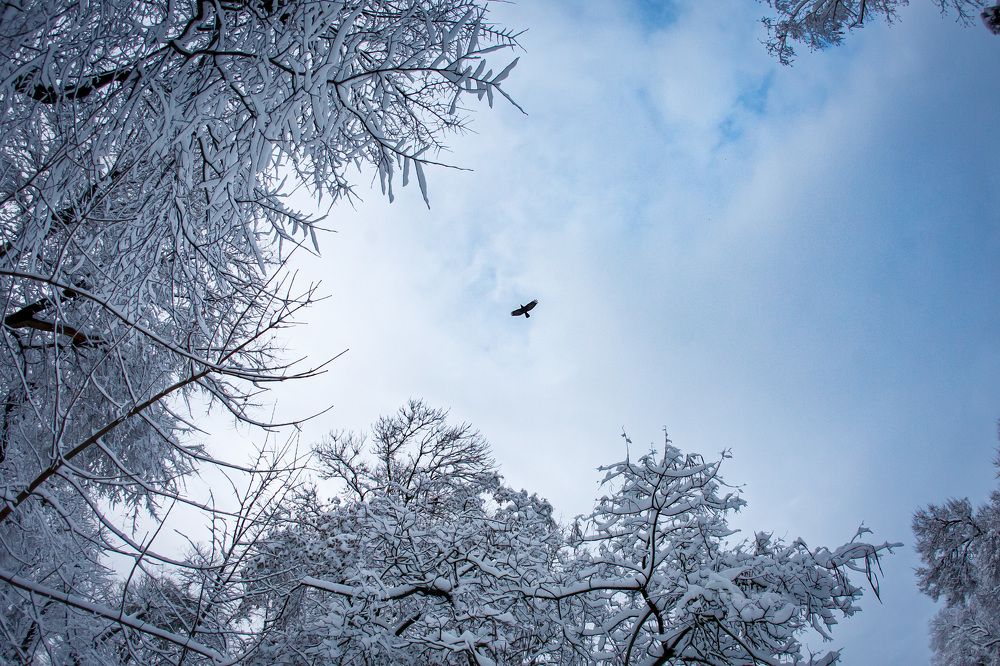 Photograph by Михаил