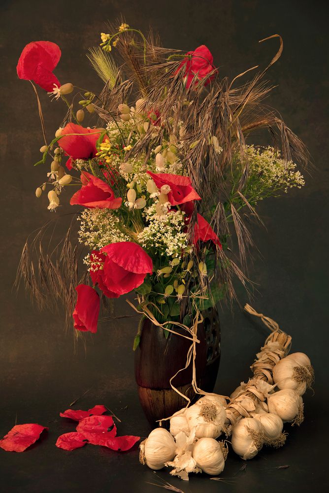 Photograph by Dragan Cerovic