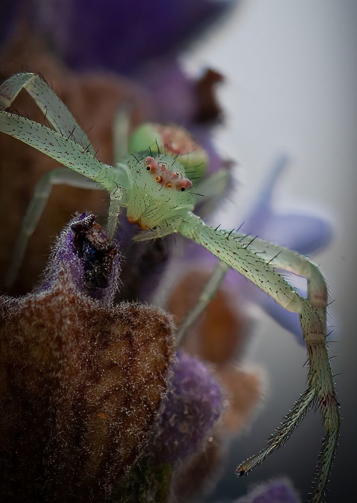 Photograph by Richard Castro