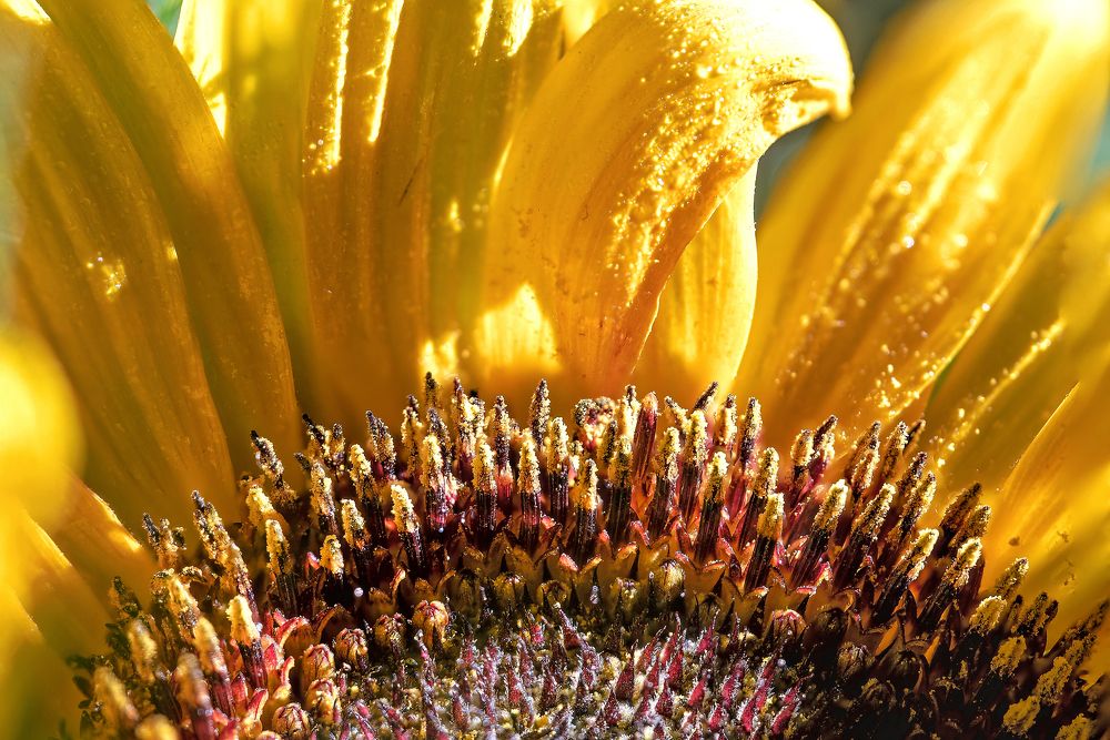 Photograph by Dragan Cerovic