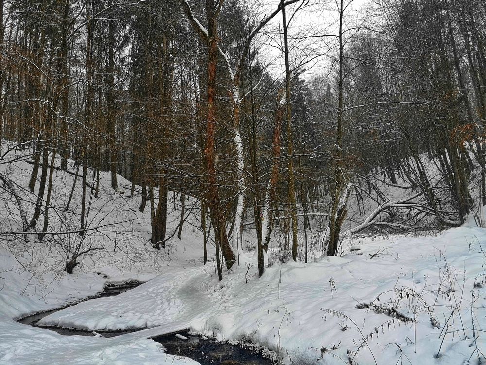 Photograph by Екатерина