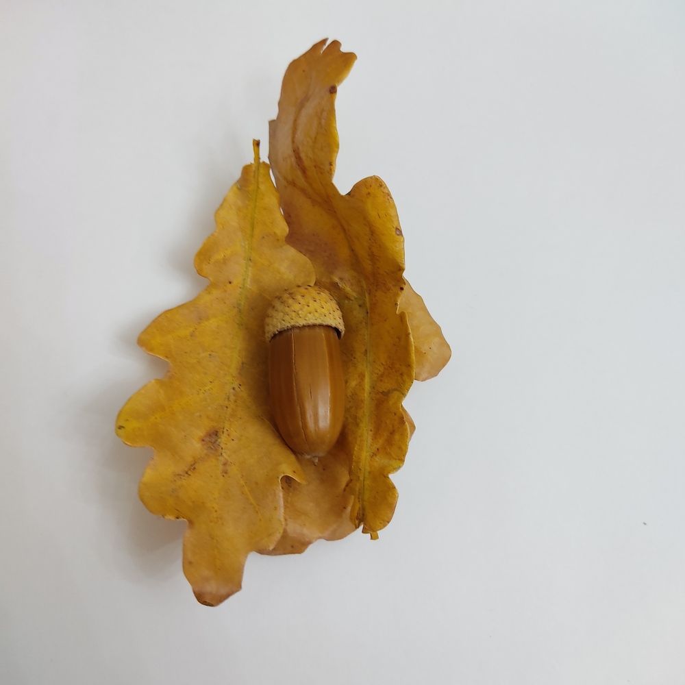 Photograph by Мирошниченко Фаина