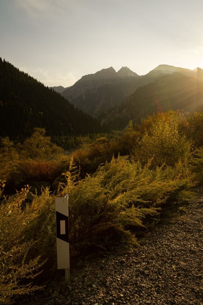 Photograph by Артем Матесов