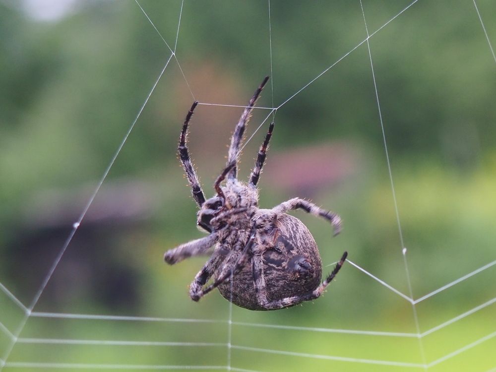 Photograph by Панкова Ольга Петровна