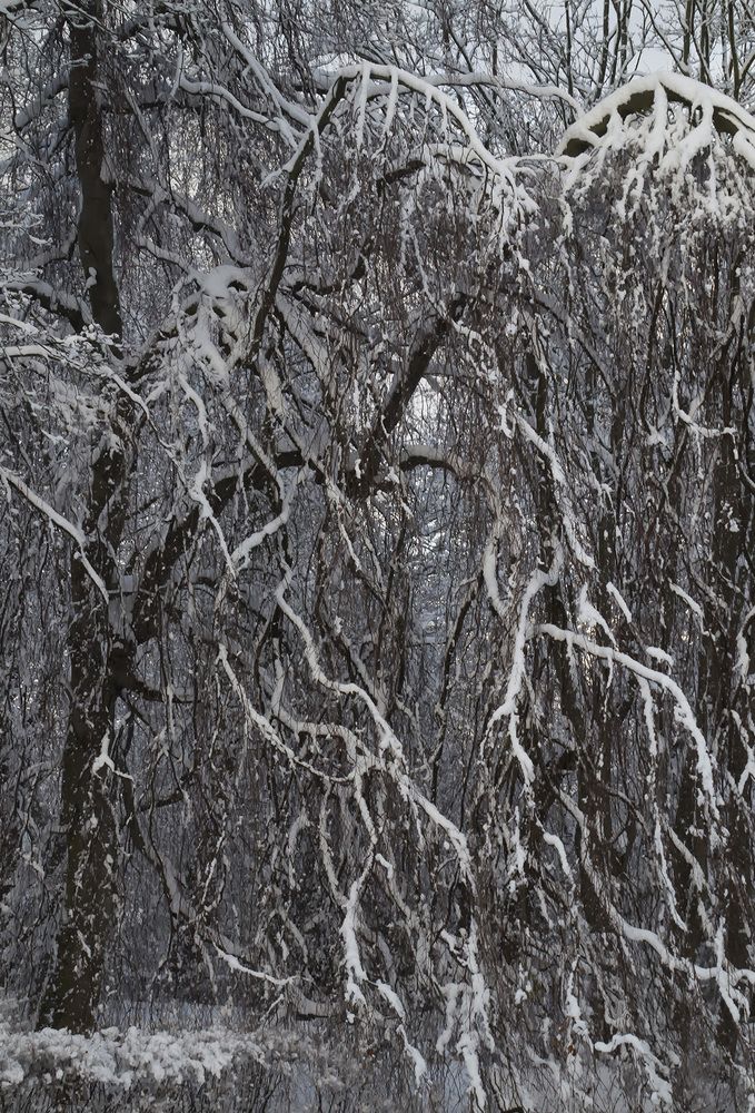 Photograph by Елена Маковецкая