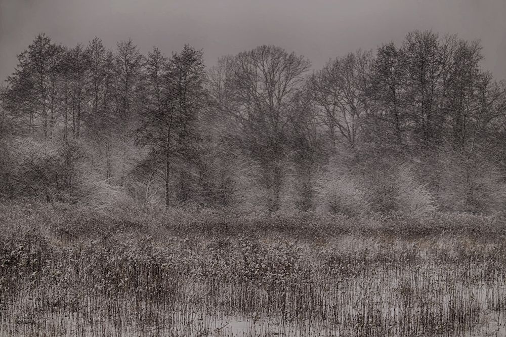 Photograph by Елена Маковецкая