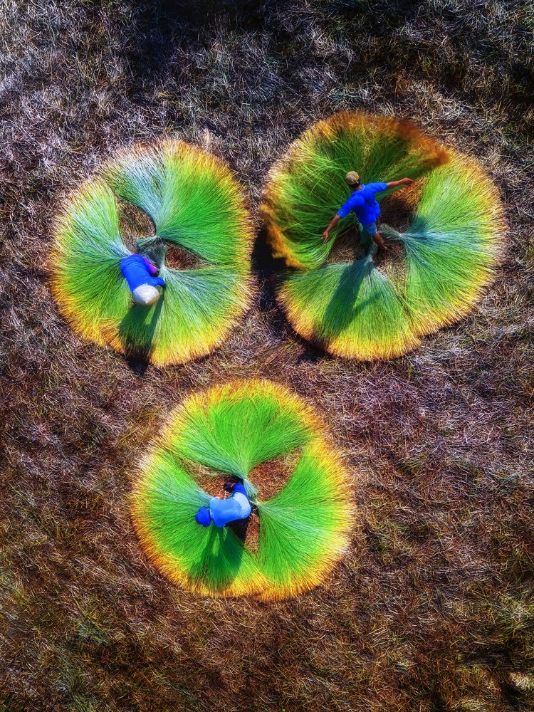 Photograph by Tuấn Nguyễn Tấn