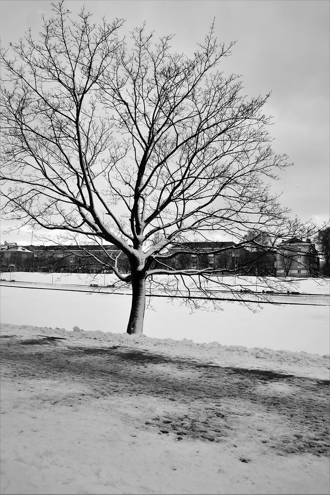 Photograph by Елена Маковецкая