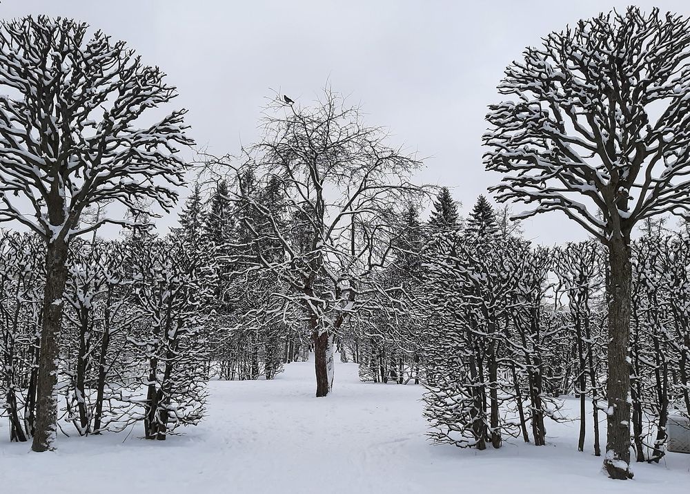 Фотография автора Ольга Виноградова