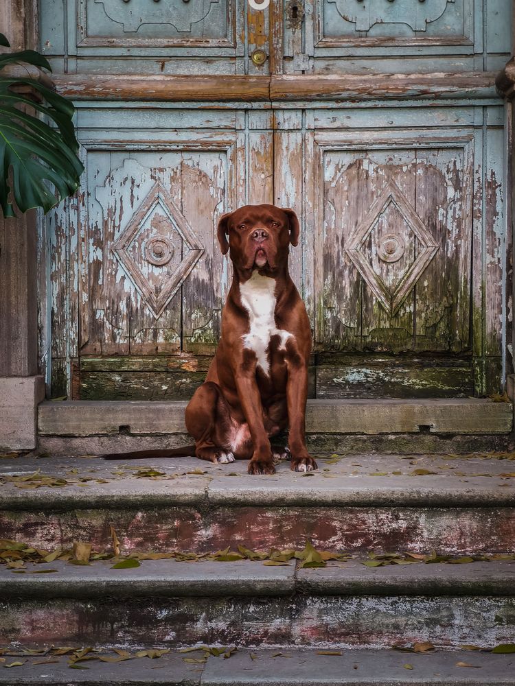 Фотография автора Pedro Luis Hernandez Martinez