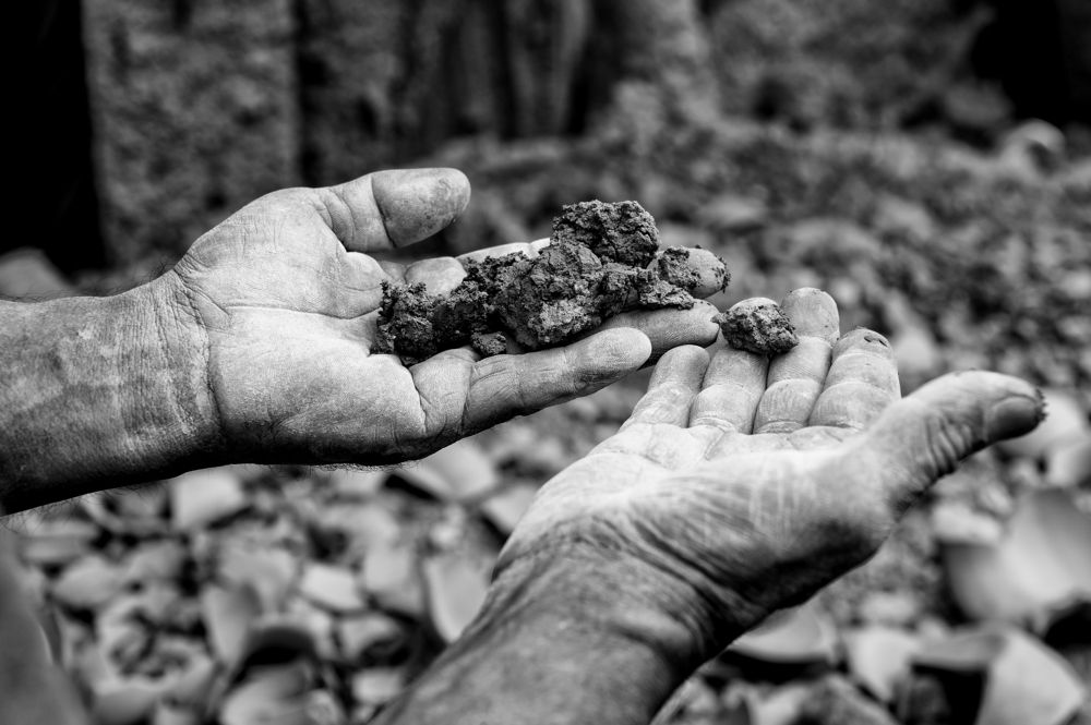 From the bowels of mother earth