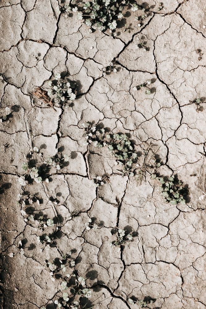 Photograph by Алексей Павлов