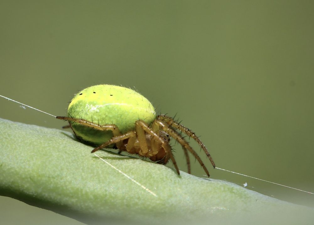 Photograph by Малика Маткарим