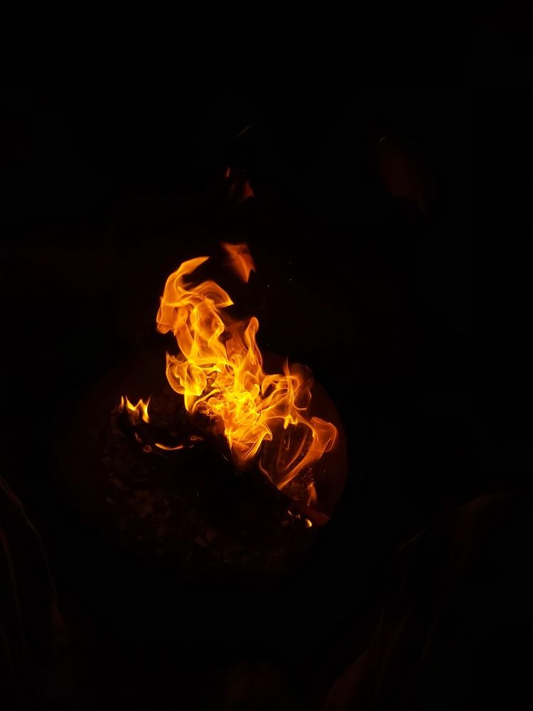 Photo #7190118