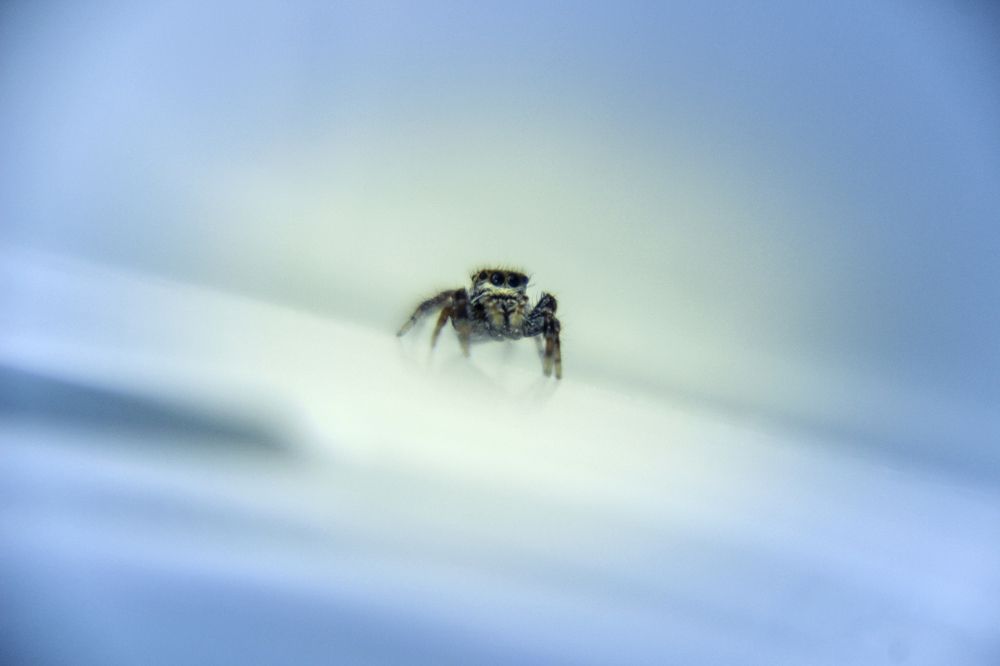 Photograph by Luis Javier Arrillaga Morones