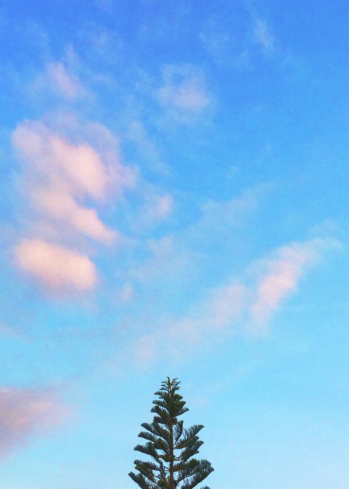 Photograph by Sr. Ma. Jenny Mhy-sy Yasa