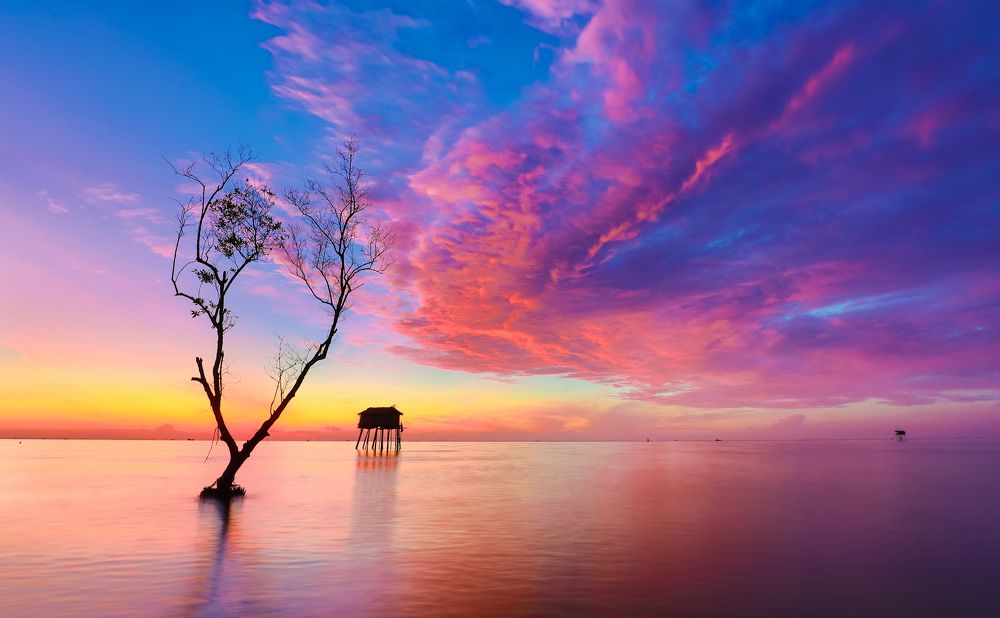 Photograph by Tuấn Nguyễn Tấn