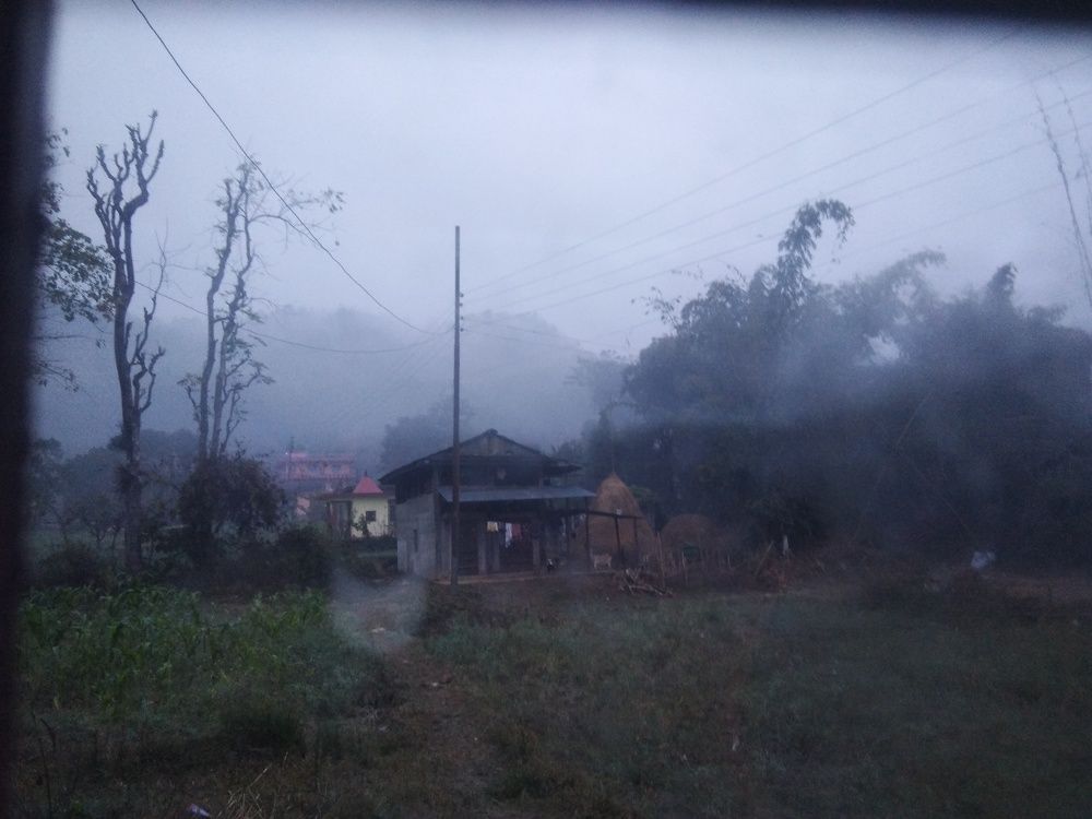 Photo #7190172