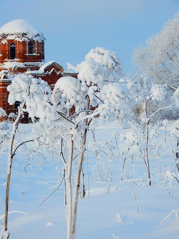 Photograph by Анна Репина