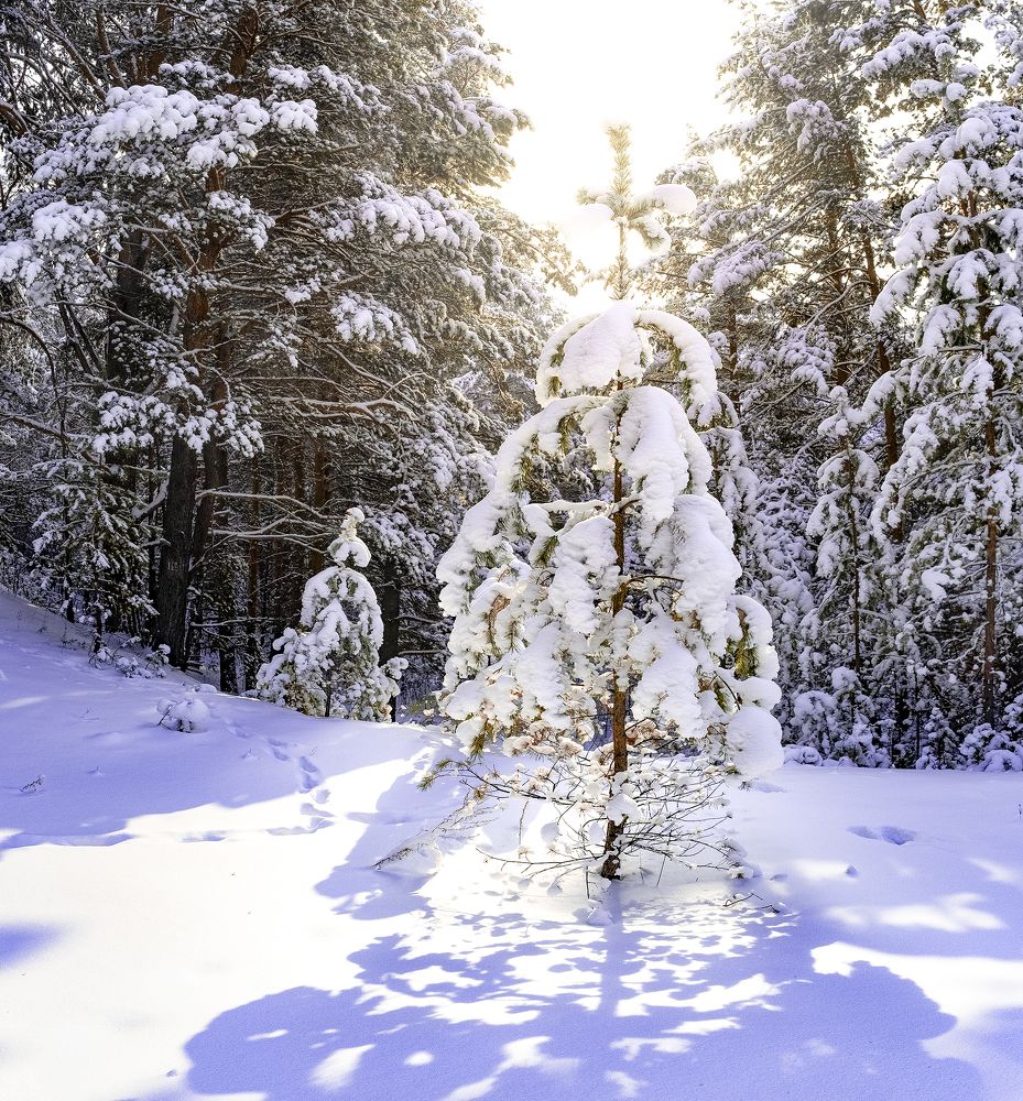 Photograph by Алексей Семенихин