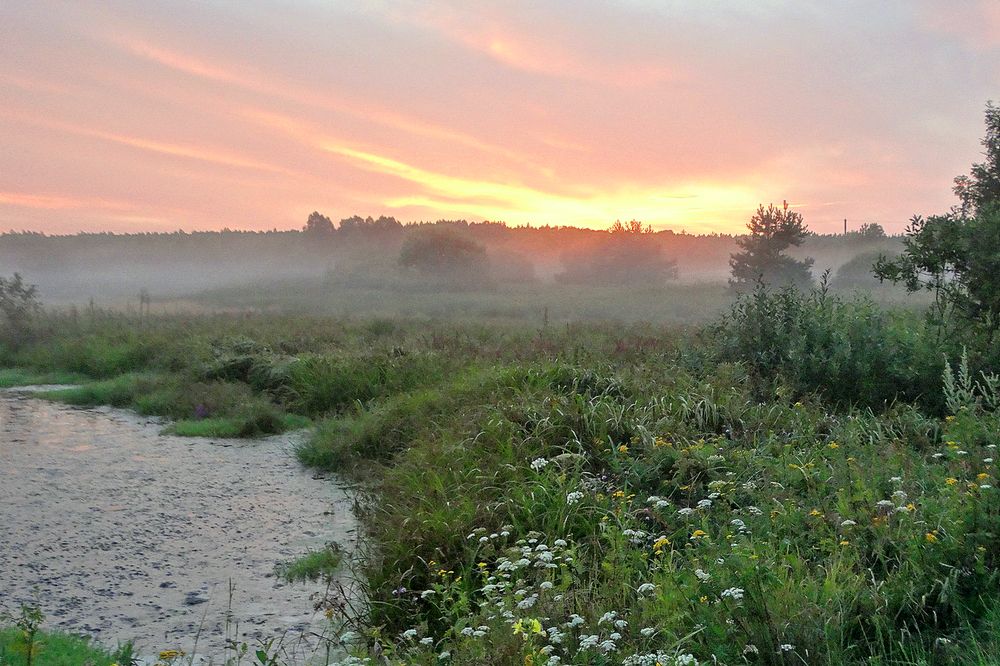 Летняя вечерняя заря