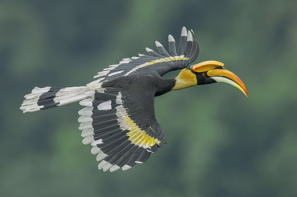 Photograph by Saikat Ghosh