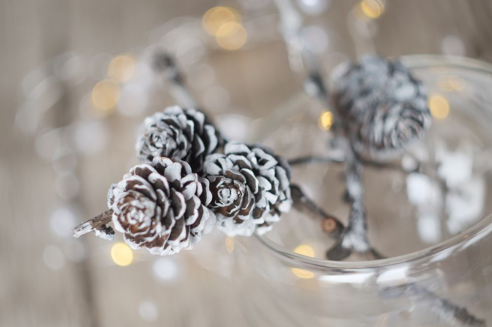 Photograph by Наталья Заровнева