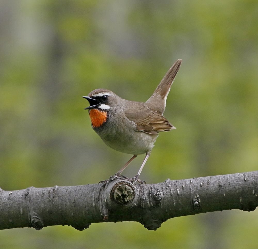 Photograph by Наталья Турчик