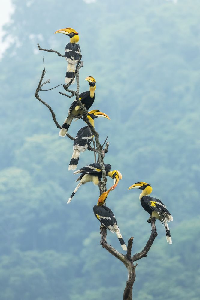 Photograph by Saikat Ghosh