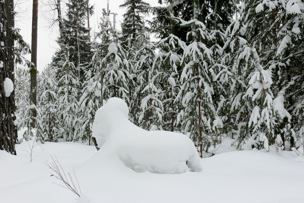 Photograph by Александр Баданов