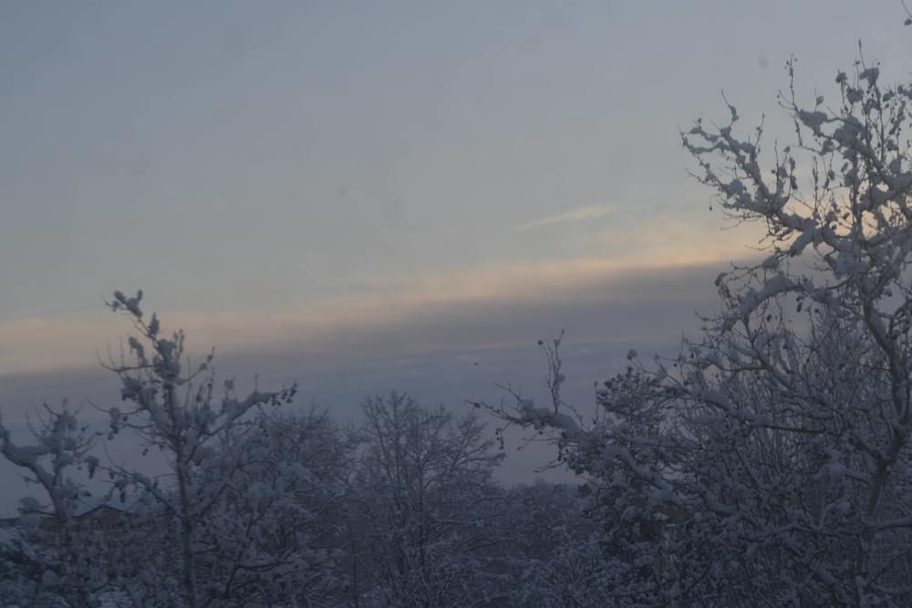 Зима из окна