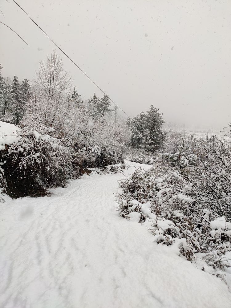 Photograph by Suk Bdr. Maffchan