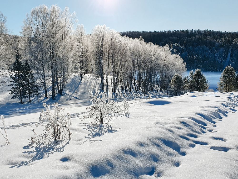 Photograph by Дьяченко Нина